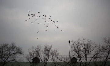 DSC_0416.jpg