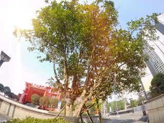 GOPR4846 拷贝