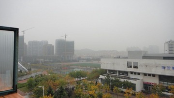 11.04小雨中（青岛市黄岛区中国石油大学）.JPG