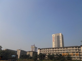11月10日 虽明媚但阴冷.JPG