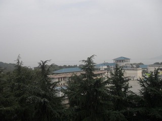 【湖北省武昌区武汉大学】2011-11-01 12：43 23～15℃多云微风中午晴。.JPG