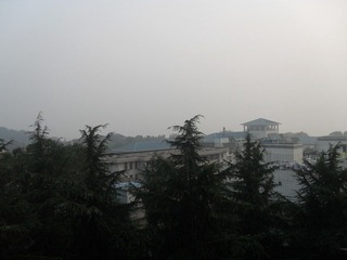 【湖北省武昌区武汉大学】2011-11-02 07：14 24～15℃多云微风 中午晴.JPG