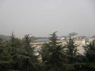 【湖北省武昌区武汉大学】2011-11-02 12：50 24～15℃多云微风 中午晴~.JPG