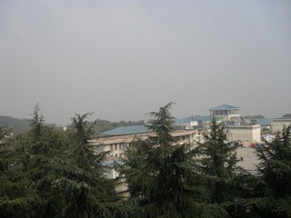【湖北省武昌区武汉大学】2011-11-03 12：40 23～16℃多云微风 中午晴.JPG