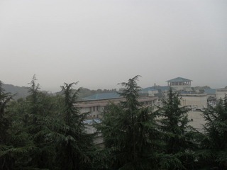 【湖北省武昌区武汉大学】2011-11-06 07：23  天气预报13摄氏度 阵雨微风 不过整日并未下雨 惟早晨稍许.JPG