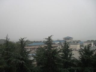 【湖北省武昌区武汉大学】2011-11-09 12：43  天气预报16摄氏度到8度 多云微风 中午阴 有风 昨日雨水已然吹干
