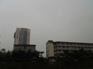 11月12日.JPG