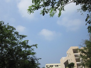 20111102哼你，走别人的路，让别人无路可走！.JPG