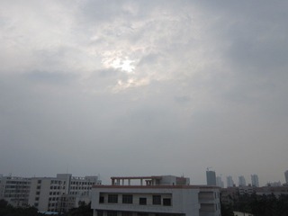 20111104郁闷，总是给我来个“琵琶遮面”！.JPG