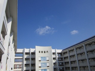 20111107啊，好忙啊，好久没去海边了！.JPG