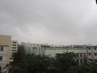 20111109雨啊雨啊雨！.JPG