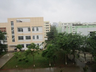 20111110我想起了小学课文“雨后的树叶绿油油的”！.JPG