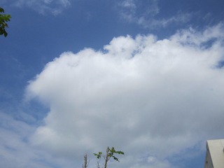 20111111光棍节的云朵很喜欢，啊，抱！.JPG