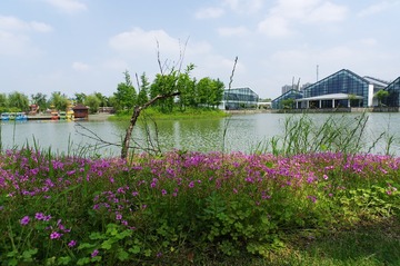 IMGP0190a