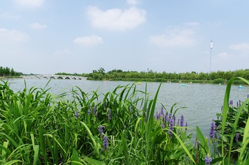 IMGP0198a
