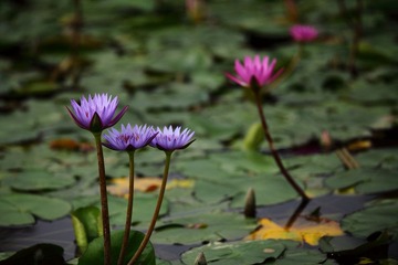 IMG_5782.JPG