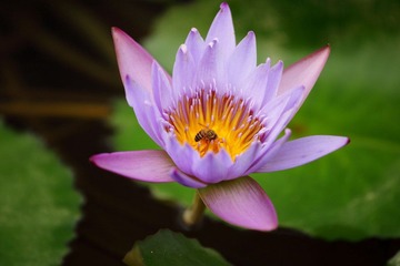 IMG_6192.JPG