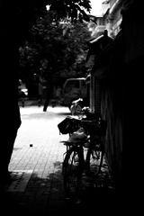 L1001931