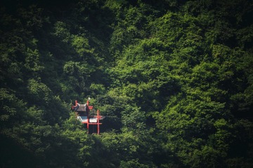 _MG_4646-编辑