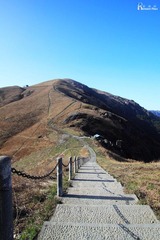 IMG_3905@_副本.jpg