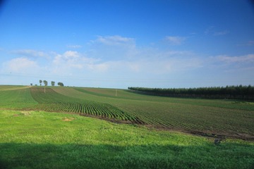 IMG_5926.JPG