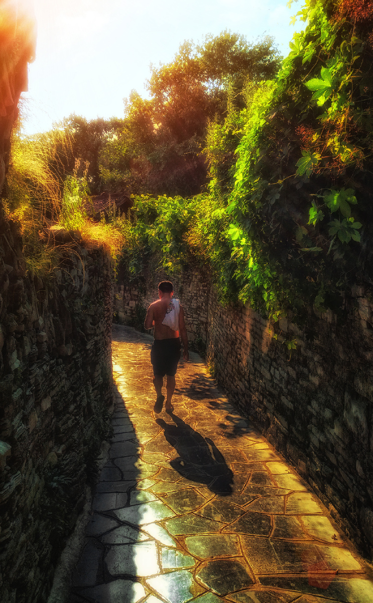 手机摄影《午后遛弯》