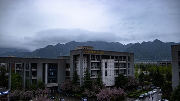 807306