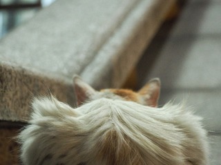 P7031440