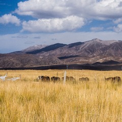 PA030943