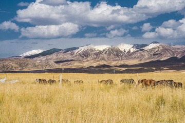 PA030943