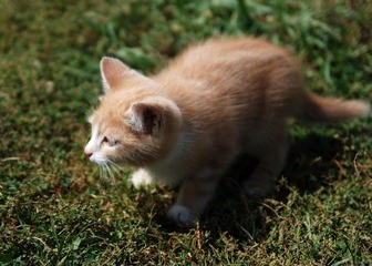 nEO_IMG_9 (1).jpg