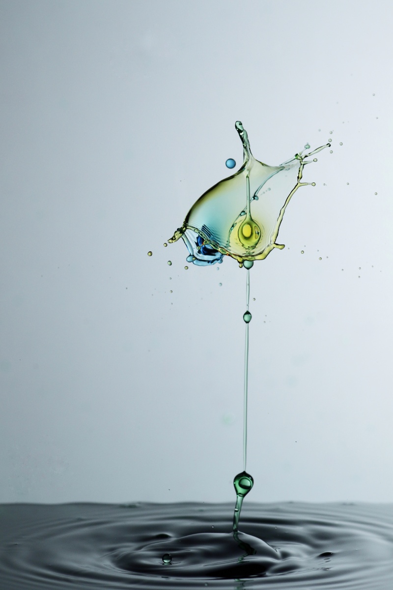 水片20210326拍摄