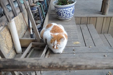 DSC_0858.JPG