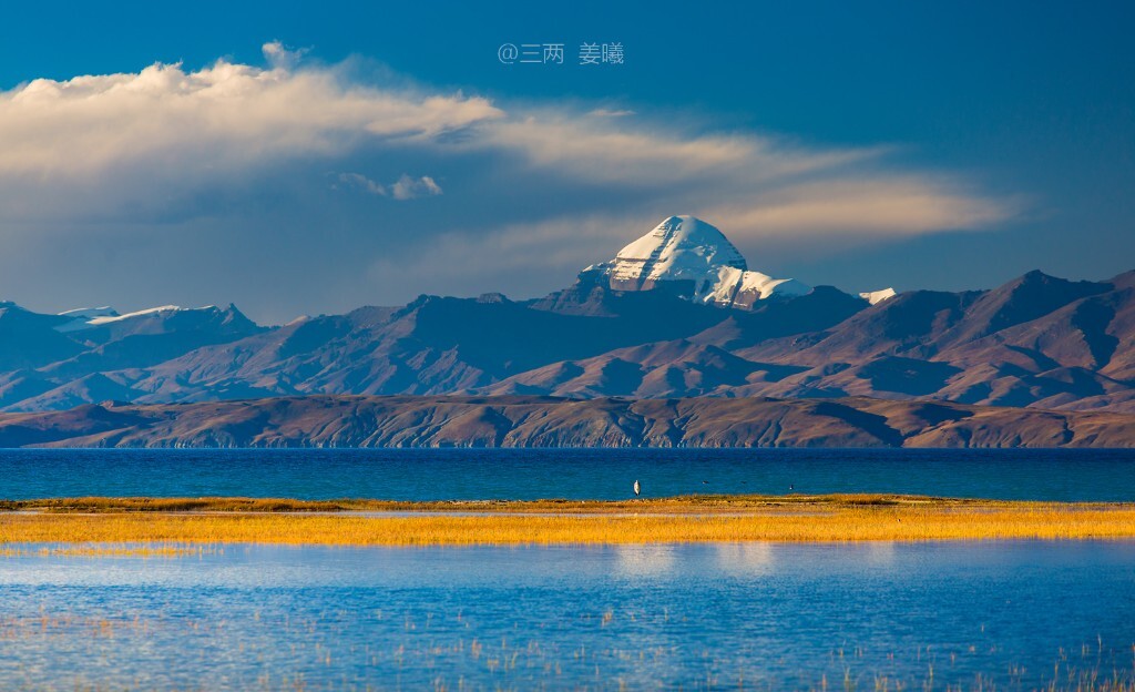 圣湖玛旁雍措边的湿地，有一只蓑羽鹤久久的站在冈仁波齐的面前，仿佛给神山站岗的卫兵
