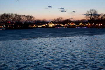 20110306-IMG_2512.jpg