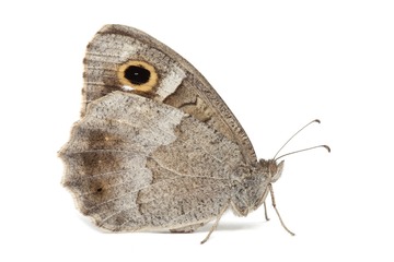 20110612-IMG_6235.jpg