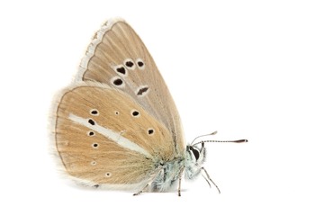 20110612-IMG_5979.jpg