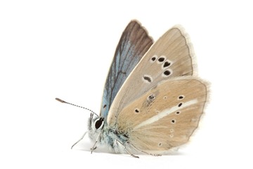 20110612-IMG_6006.jpg