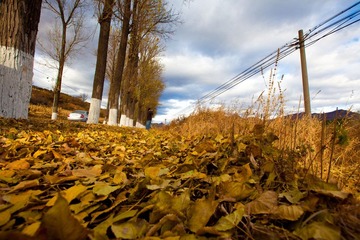 20111015-20111015-IMG_9796.jpg