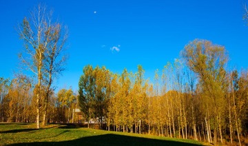 20111016-20111016-IMG_9883.jpg