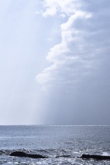 030E2F6A-8E6D-4C2F-9036-5789F2DC0EE8/L0/001