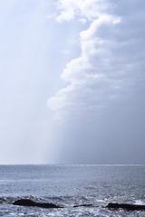 030E2F6A-8E6D-4C2F-9036-5789F2DC0EE8/L0/001