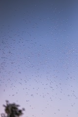 1000091861