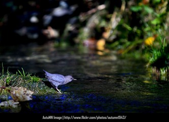 _MG_9046.jpg