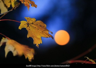 _MG_9384.jpg