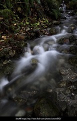_MG_0997.jpg