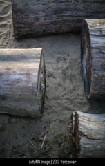 IMG_0365.jpg