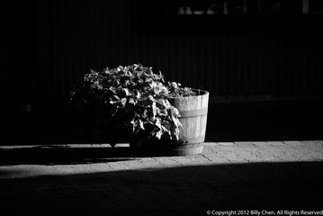 DSC_1540.jpg