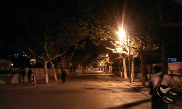 IMAG0050.jpg