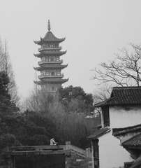 亲爱的，我给讲白蛇的故事
